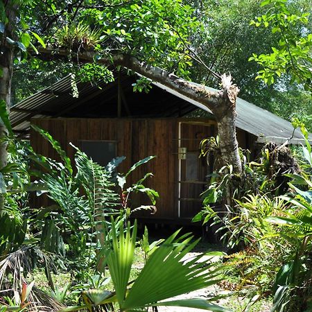 Hakuna Matata Amazon Lodge Archidona المظهر الخارجي الصورة