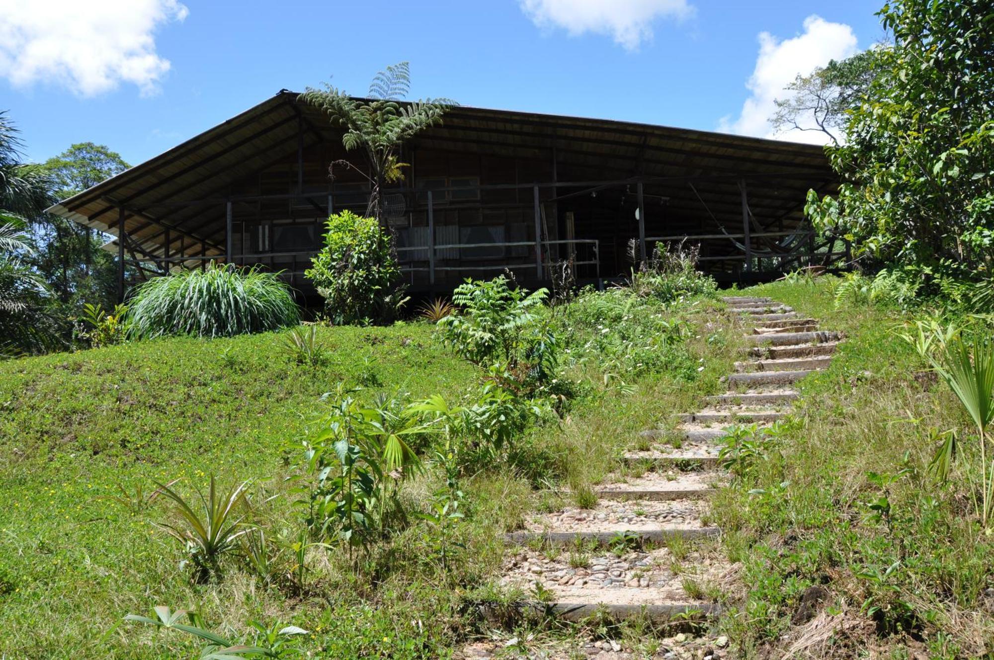 Hakuna Matata Amazon Lodge Archidona المظهر الخارجي الصورة