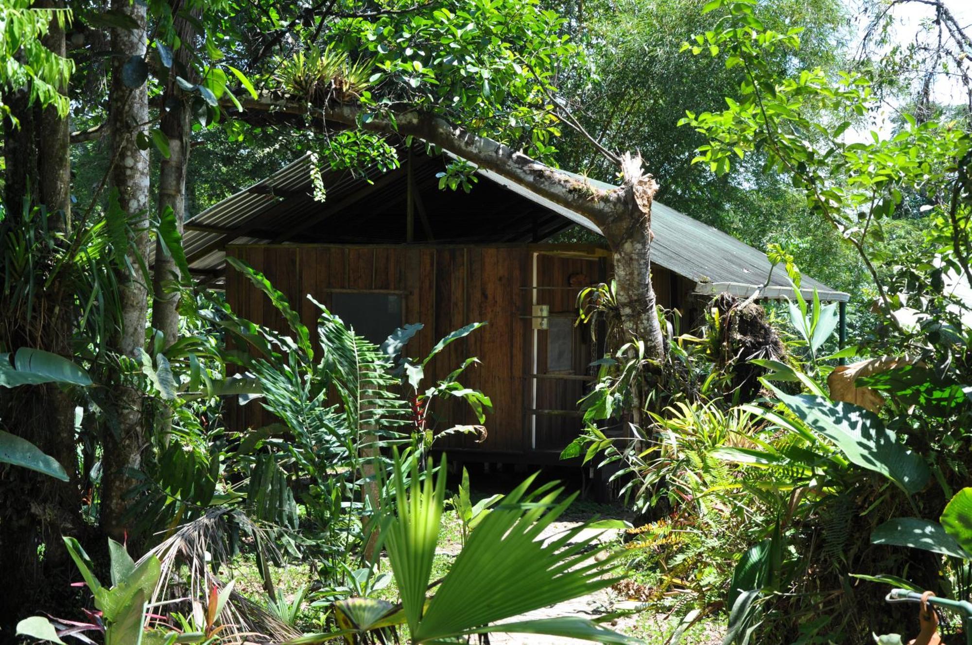 Hakuna Matata Amazon Lodge Archidona المظهر الخارجي الصورة