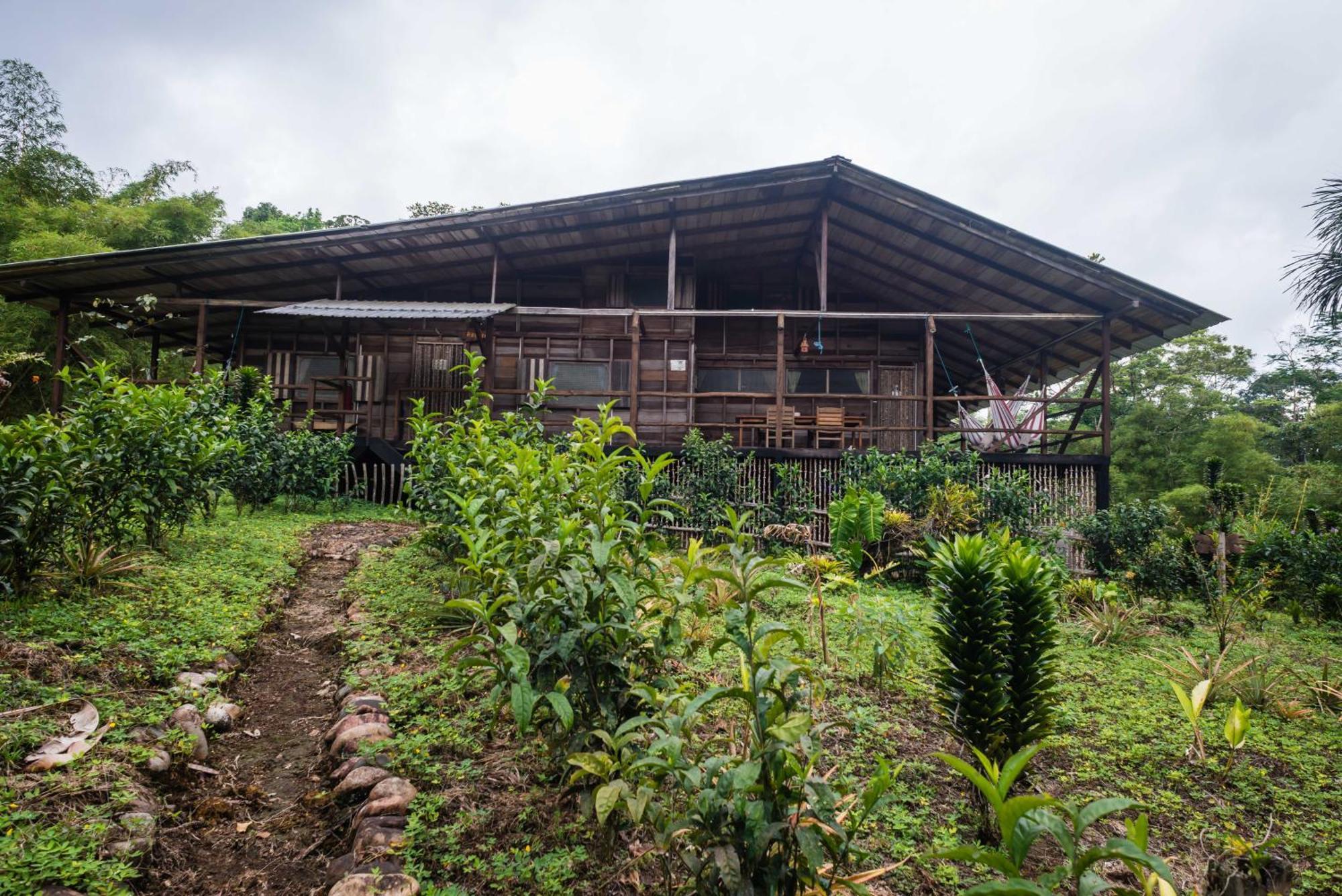 Hakuna Matata Amazon Lodge Archidona الغرفة الصورة