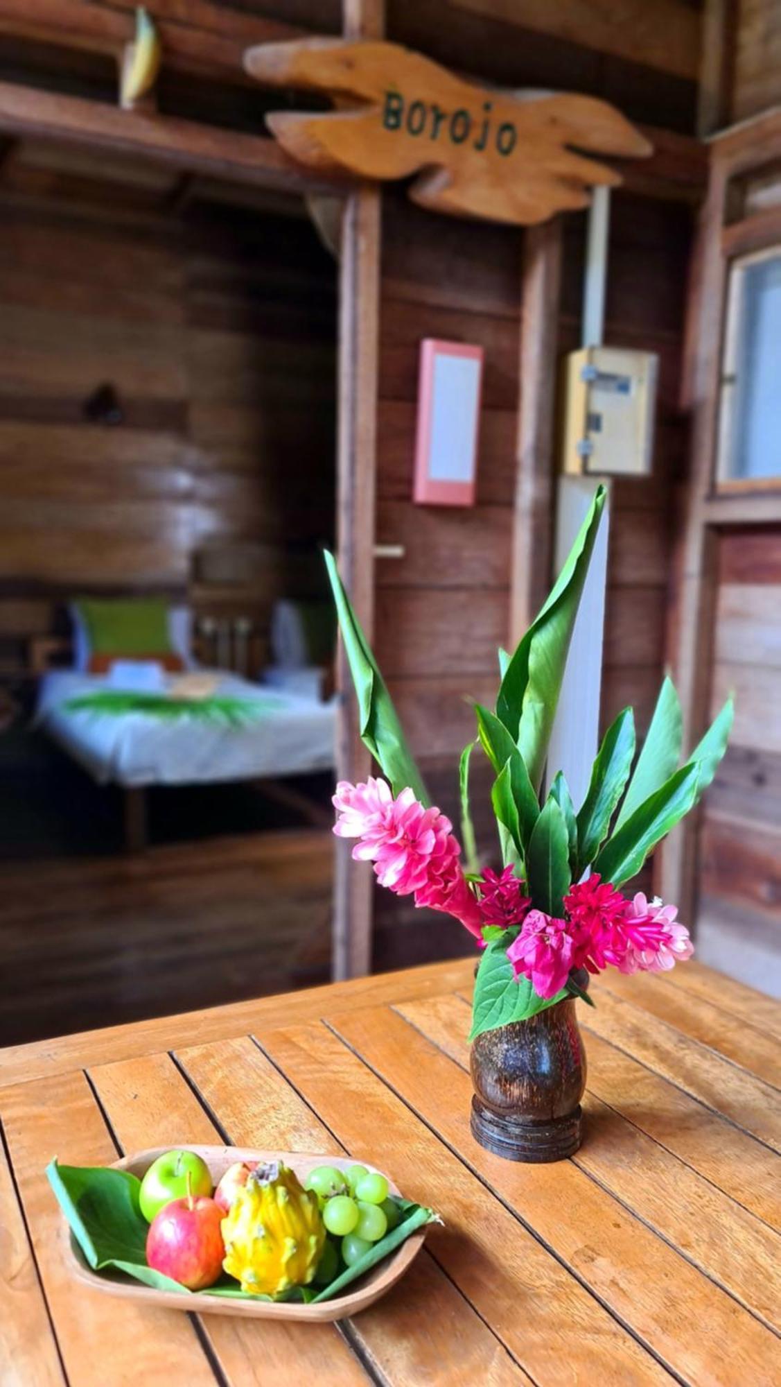Hakuna Matata Amazon Lodge Archidona المظهر الخارجي الصورة