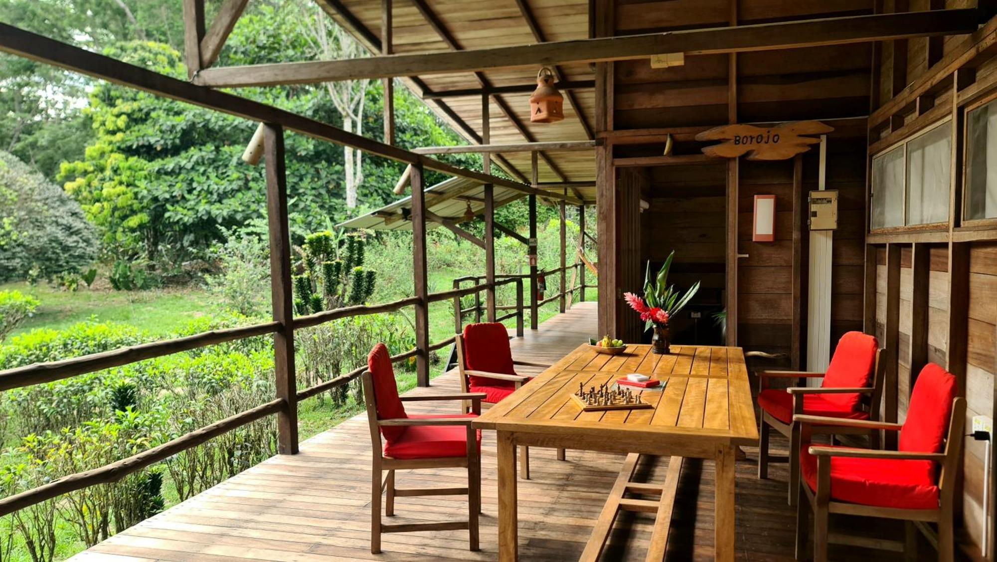 Hakuna Matata Amazon Lodge Archidona المظهر الخارجي الصورة