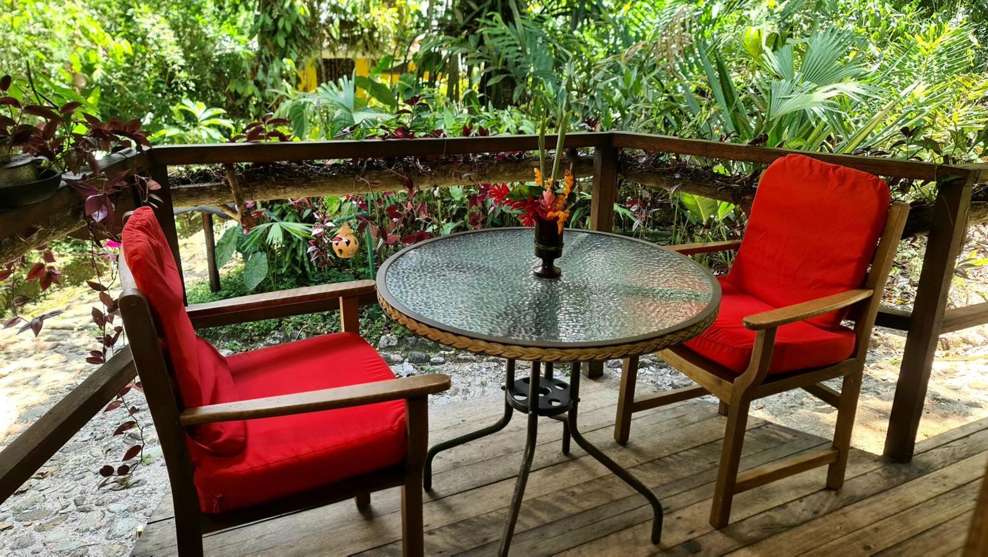 Hakuna Matata Amazon Lodge Archidona المظهر الخارجي الصورة