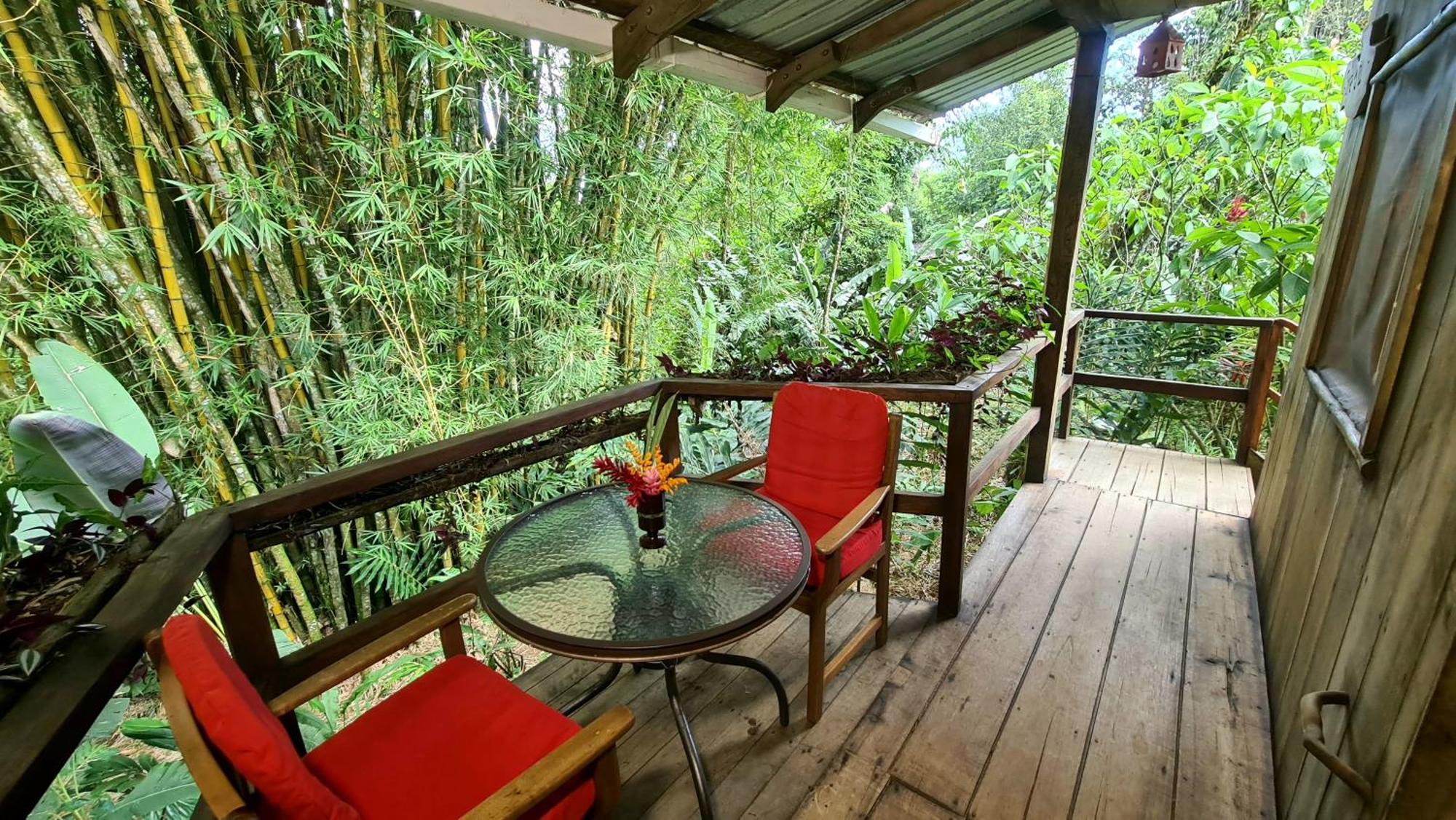 Hakuna Matata Amazon Lodge Archidona المظهر الخارجي الصورة