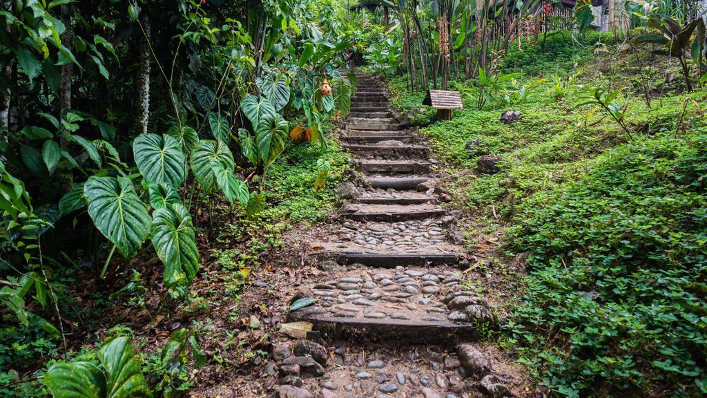 Hakuna Matata Amazon Lodge Archidona المظهر الخارجي الصورة