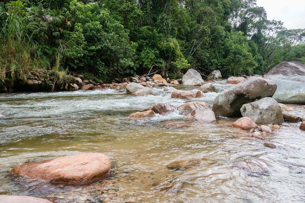 Hakuna Matata Amazon Lodge Archidona المظهر الخارجي الصورة